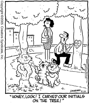 heathcliff